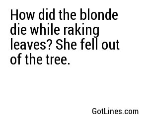 How did the blonde die while raking leaves? She fell out of the tree.