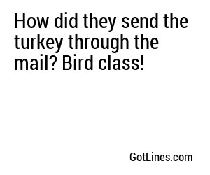 How did they send the turkey through the mail? Bird class!
