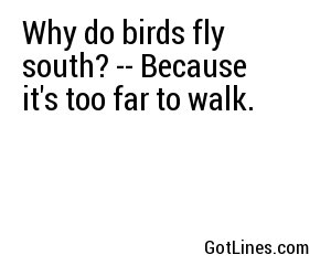Why do birds fly south? -- Because it's too far to walk.