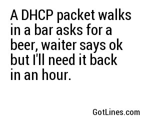 A DHCP packet walks in a bar asks for a beer, waiter says ok but I'll need it back in an hour.
