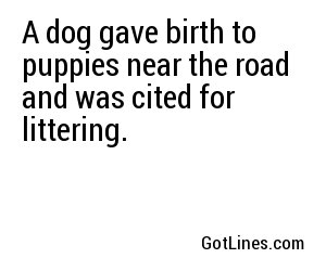 A dog gave birth to puppies near the road and was cited for littering.
