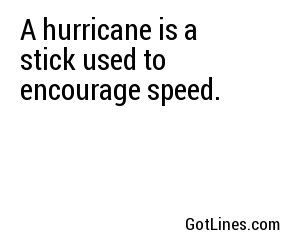 A hurricane is a stick used to encourage speed.
