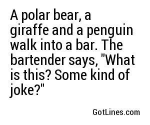 A polar bear, a giraffe and a penguin walk into a bar. The bartender says, 