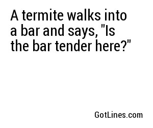 A termite walks into a bar and says, 
