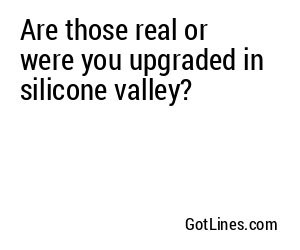 Are those real or were you upgraded in silicone valley?
