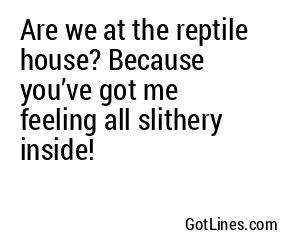 Are we at the reptile house? Because you’ve got me feeling all slithery inside!