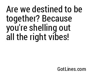Are we destined to be together? Because you're shelling out all the right vibes!