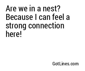 Are we in a nest? Because I can feel a strong connection here!