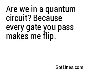 Are we in a quantum circuit? Because every gate you pass makes me flip.