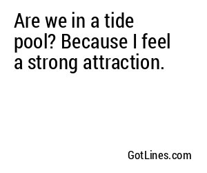 Are we in a tide pool? Because I feel a strong attraction.