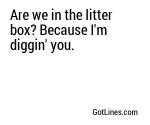 Are we in the litter box? Because I'm diggin' you.
