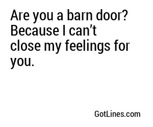 Are you a barn door? Because I can’t close my feelings for you.