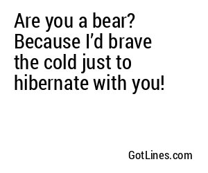 Are you a bear? Because I’d brave the cold just to hibernate with you!