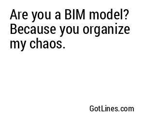 Are you a BIM model? Because you organize my chaos.