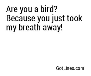 Are you a bird? Because you just took my breath away!