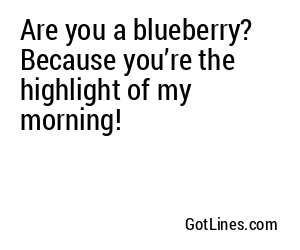 Are you a blueberry? Because you’re the highlight of my morning!