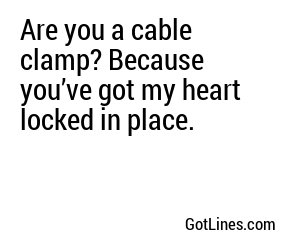 Are you a cable clamp? Because you’ve got my heart locked in place.
