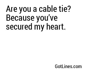Are you a cable tie? Because you’ve secured my heart.
