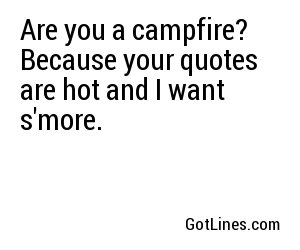 Are you a campfire? Because your quotes are hot and I want s'more.

