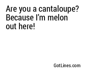 Are you a cantaloupe? Because I’m melon out here!