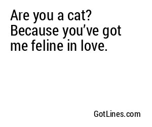 Are you a cat? Because you’ve got me feline in love.