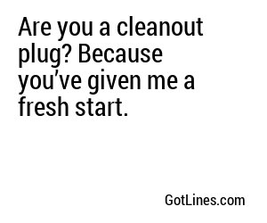 Are you a cleanout plug? Because you’ve given me a fresh start.

