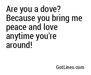 Are you a dove? Because you bring me peace and love anytime you're around!