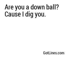 Are you a down ball? Cause I dig you.