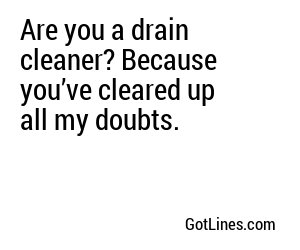 Are you a drain cleaner? Because you’ve cleared up all my doubts.
