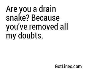 Are you a drain snake? Because you’ve removed all my doubts.

