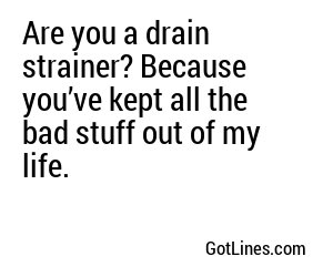 Are you a drain strainer? Because you’ve kept all the bad stuff out of my life.
