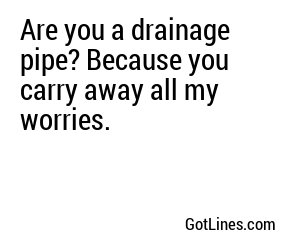 Are you a drainage pipe? Because you carry away all my worries.
