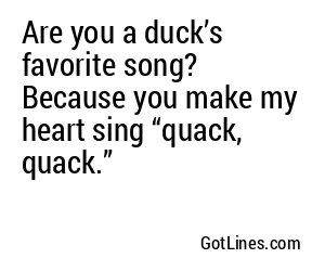 Are you a duck’s favorite song? Because you make my heart sing “quack, quack.”