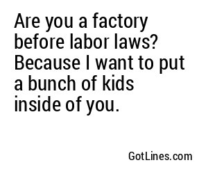 Are you a factory before labor laws? Because I want to put a bunch of kids inside of you.