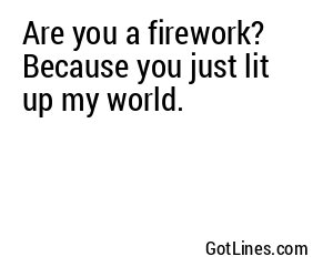 Are you a firework? Because you just lit up my world.