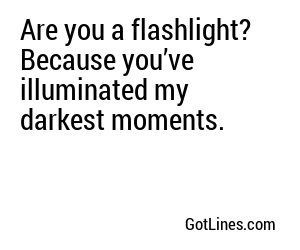 Are you a flashlight? Because you’ve illuminated my darkest moments.

