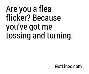 Are you a flea flicker? Because you’ve got me fooled in the best way.
