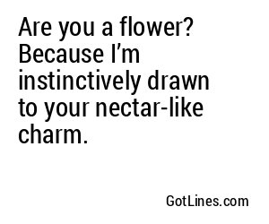 Are you a flower? Because I’m instinctively drawn to your nectar-like charm.