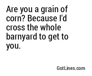 Are you a grain of corn? Because I'd cross the whole barnyard to get to you.