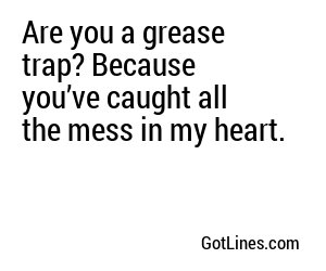 Are you a grease trap? Because you’ve caught all the mess in my heart.

