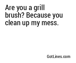 Are you a grill brush? Because you clean up my mess.