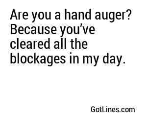 Are you a hand auger? Because you’ve cleared all the blockages in my day.
