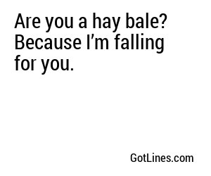 Are you a hay bale? Because I’m falling for you.
