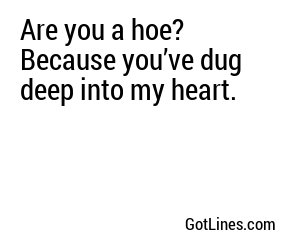 Are you a hoe? Because you’ve dug deep into my heart.
