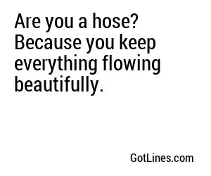 Are you a hose? Because you keep everything flowing beautifully.

