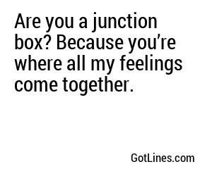 Are you a junction box? Because you’re where all my feelings come together.
