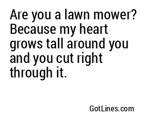 Are you a lawn mower? Because my heart grows tall around you and you cut right through it.