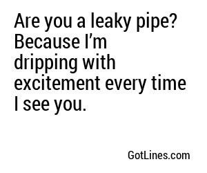 Are you a leaky pipe? Because I’m dripping with excitement every time I see you.
