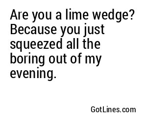 Are you a lime wedge? Because you just squeezed all the boring out of my evening.