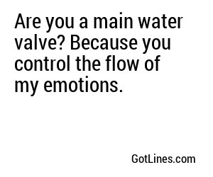 Are you a main water valve? Because you control the flow of my emotions.
